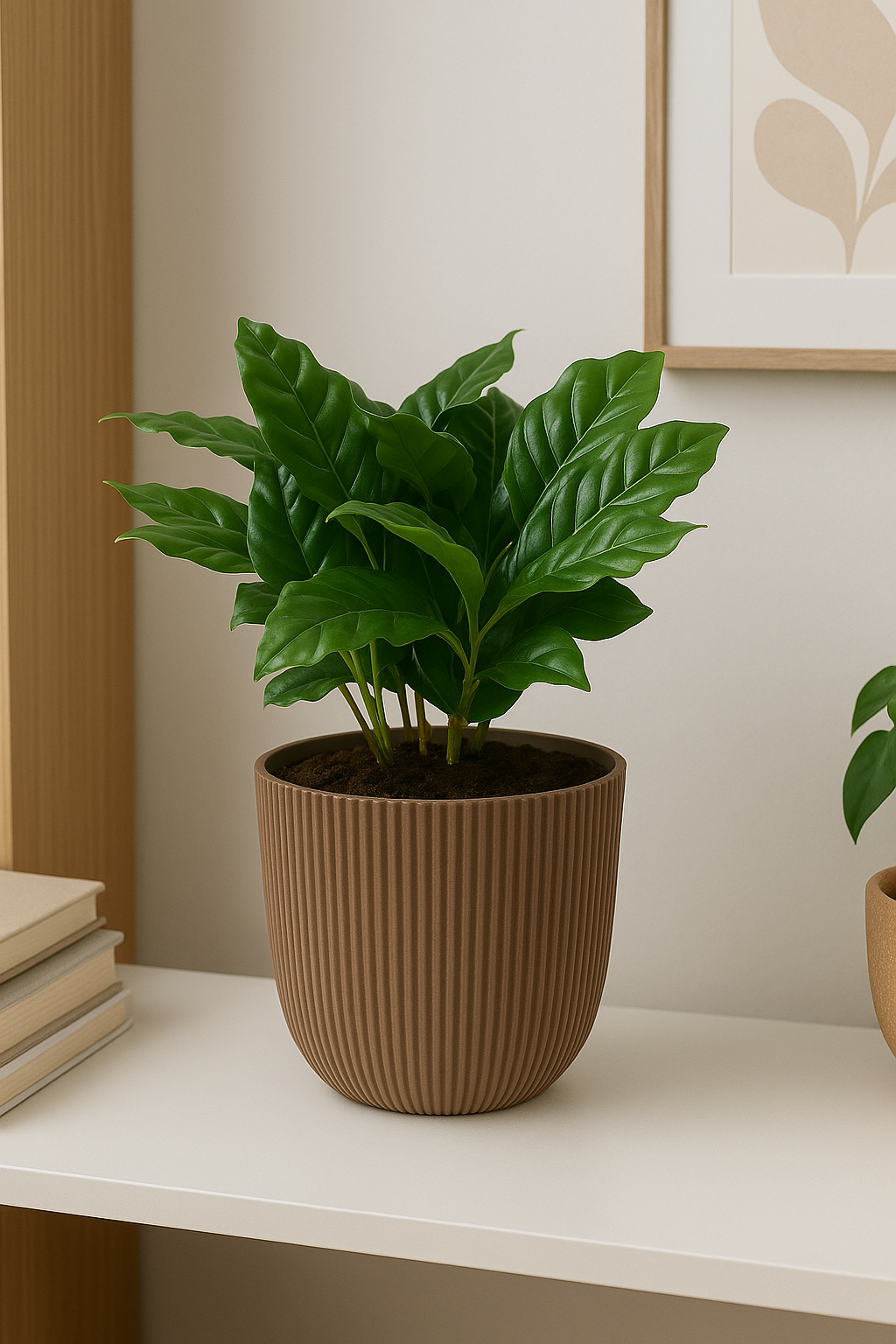 Coffea Arabica