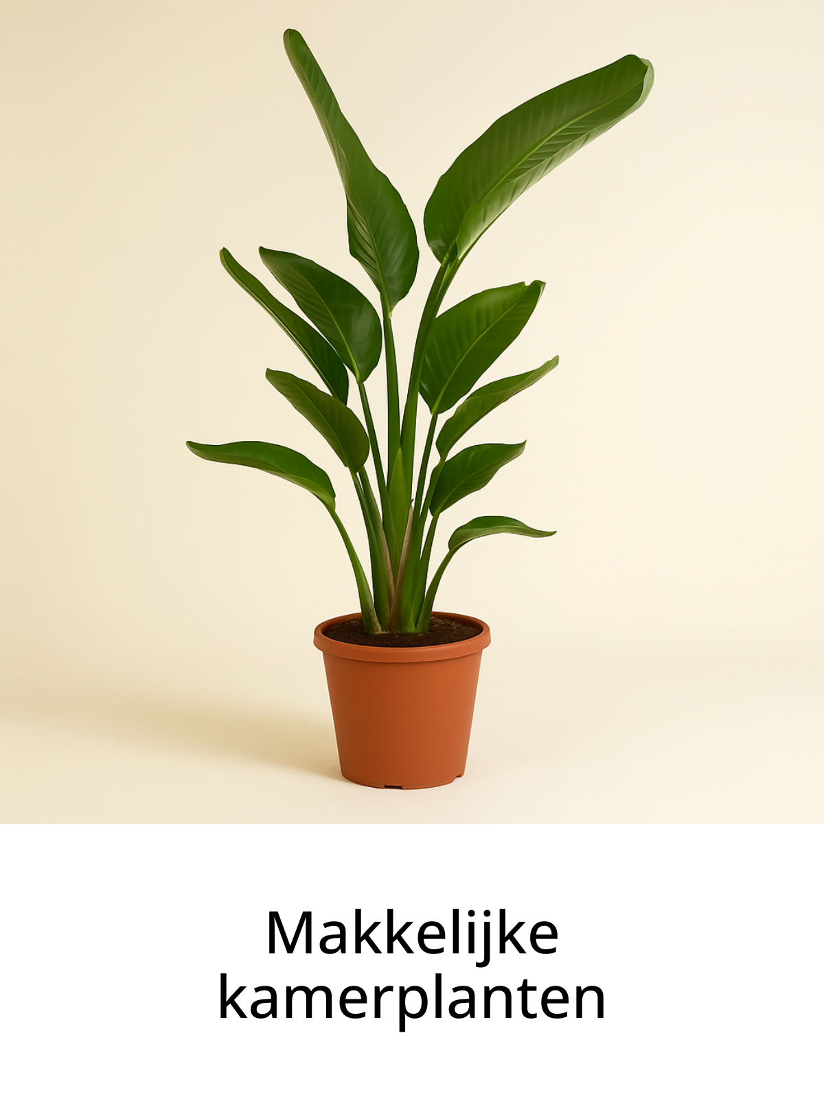 Clickable image