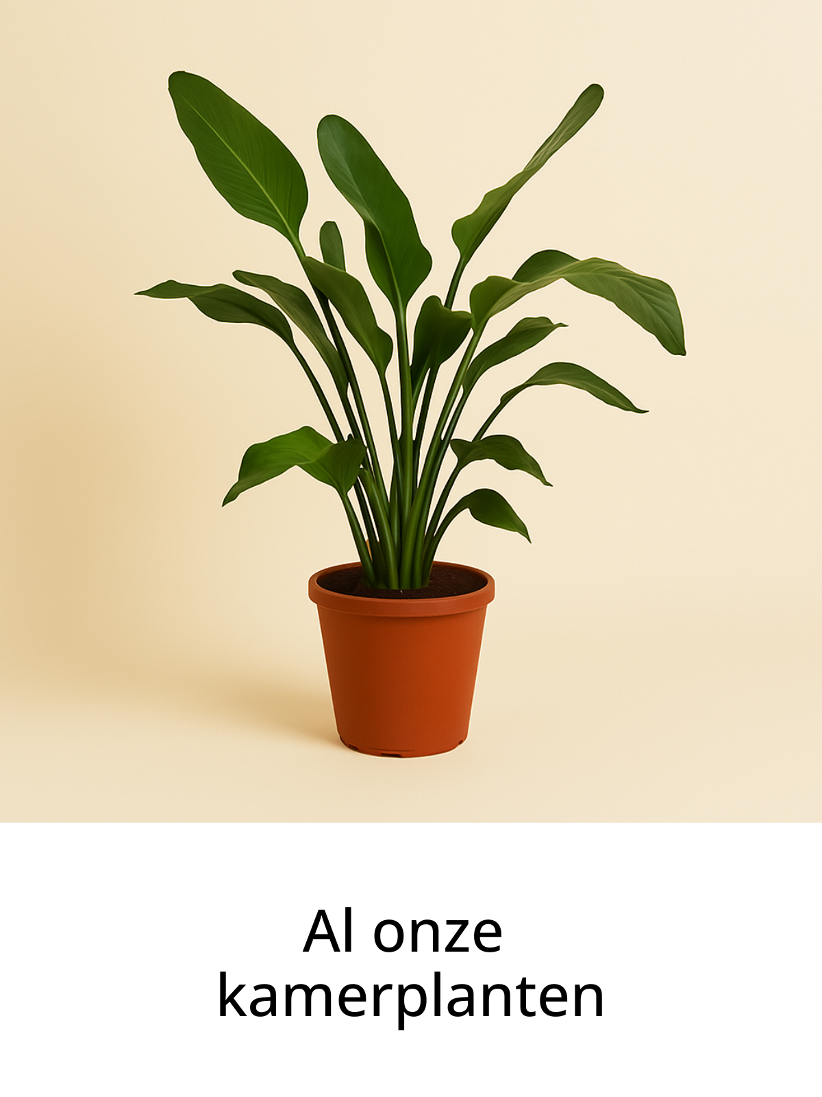 Clickable image