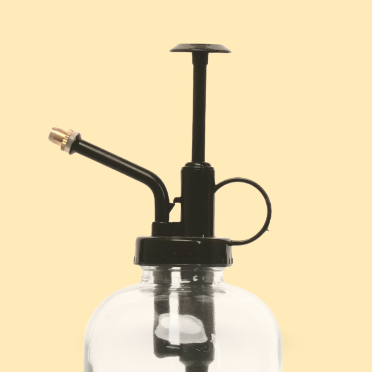 Plantenspuit Van Glas - 300 ml