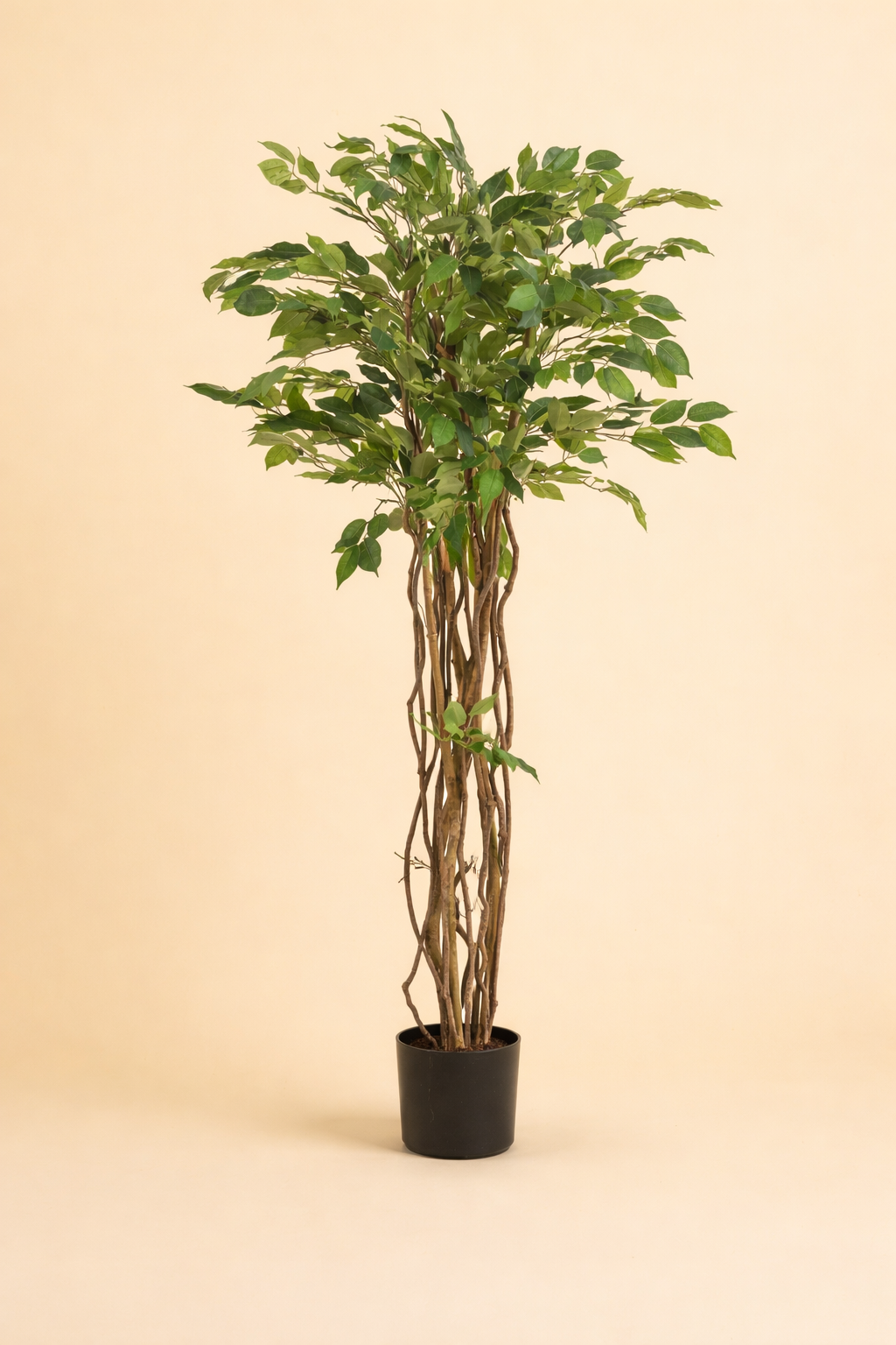 Kunstplant Ficus Liana