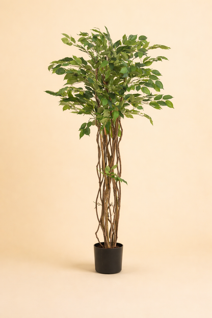 Kunstplant Ficus Liana