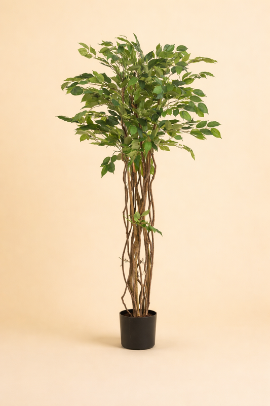 Kunstplant Ficus Liana