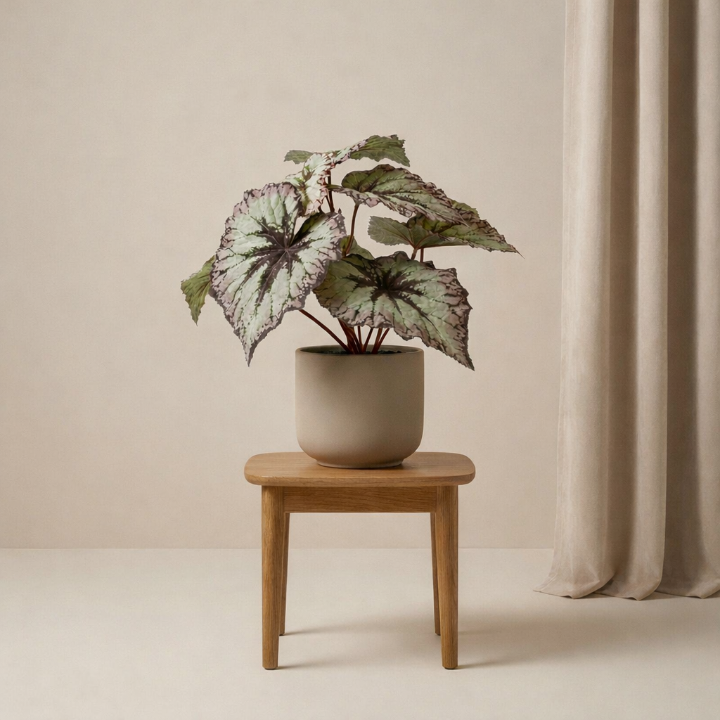 Kunstplant Begonia + Pot
