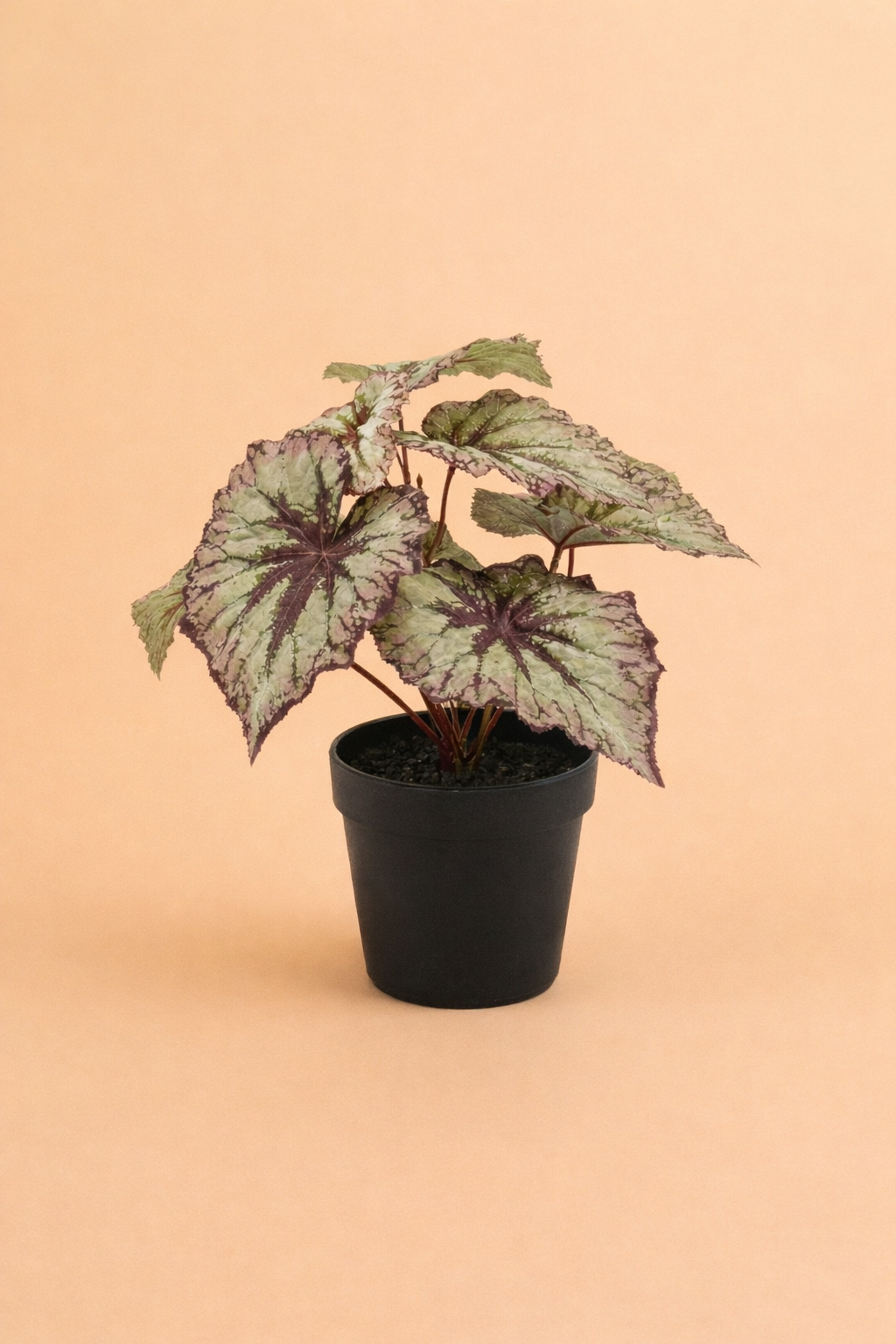 Kunstplant Begonia + Pot