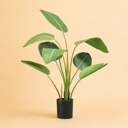 Kunstplant Strelitzia + Zwarte Pot