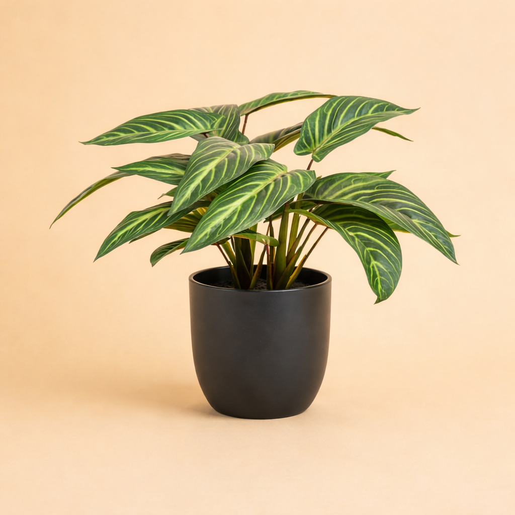 Kunstplant  Calathea Zebrina + Zwarte Pot