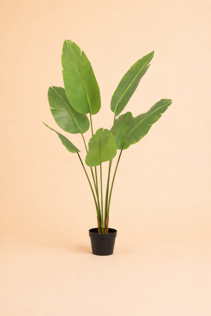 Kunstplant Strelitzia Nicolai