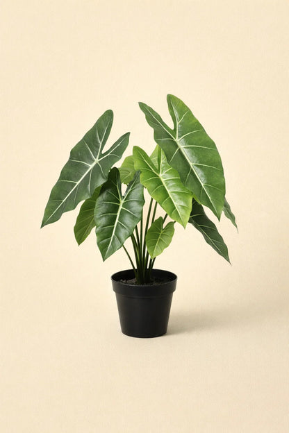 Kunstplant Alocasia Polly