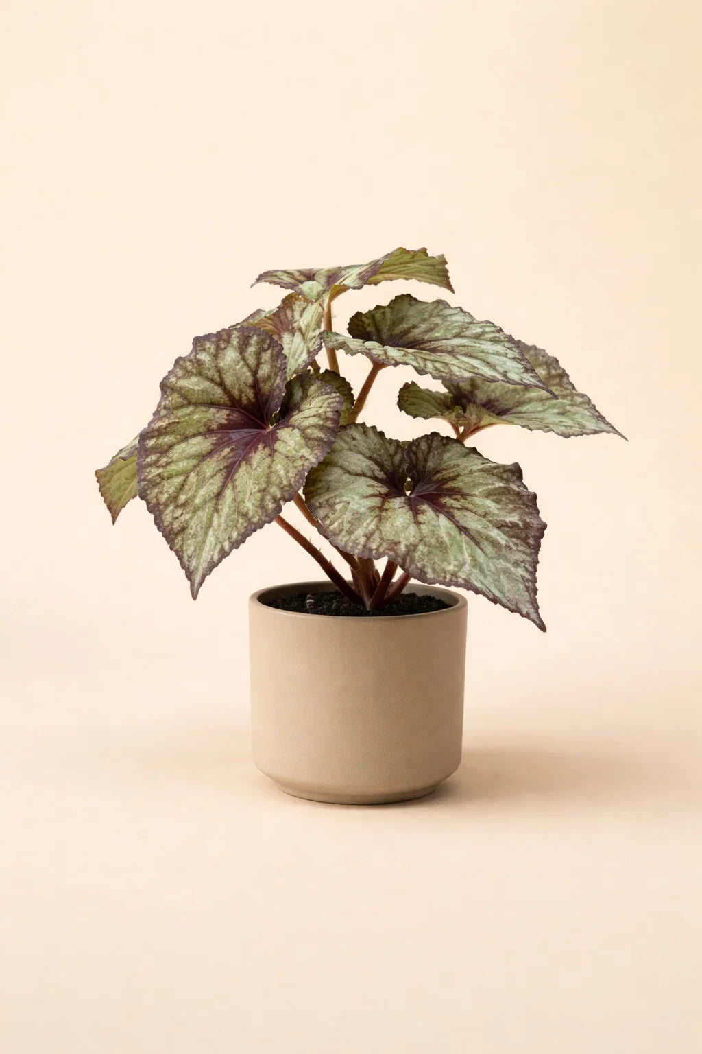 Kunstplant Begonia + Pot