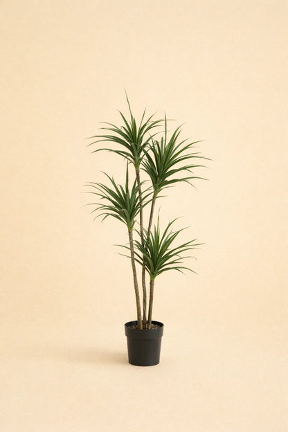 Kunstplant Dracaena