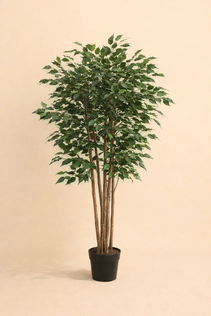 Kunstplant Ficus Benjamina Classic