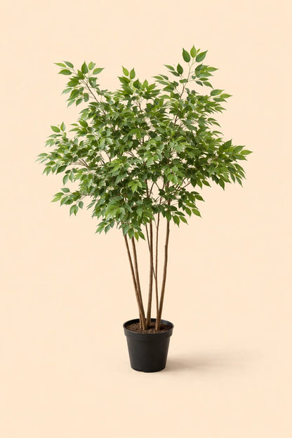 Kunstplant Ficus Benjamina Natural