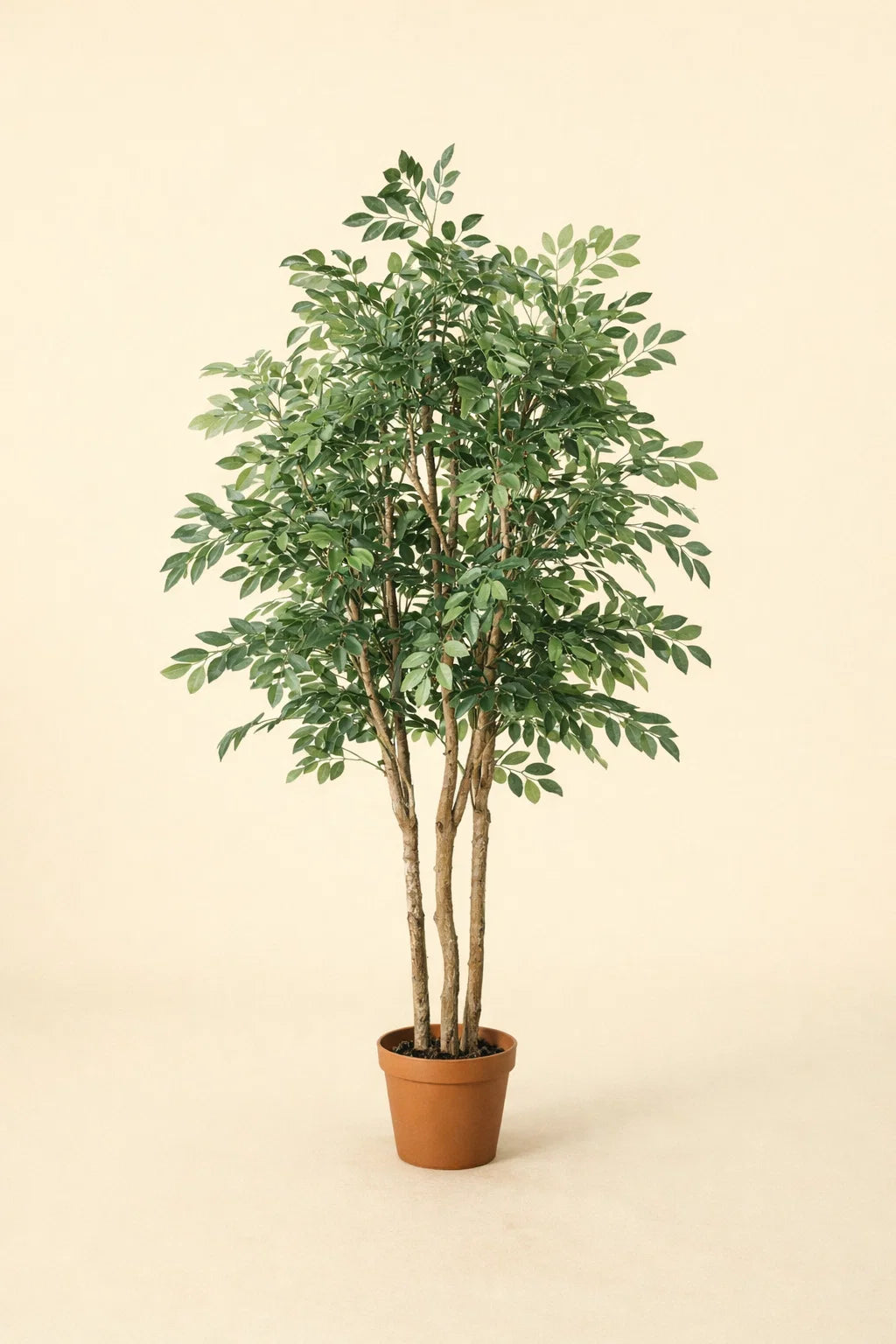 Kunstplant Ficus Exotica