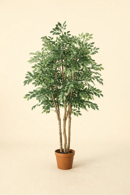 Kunstplant Ficus Exotica