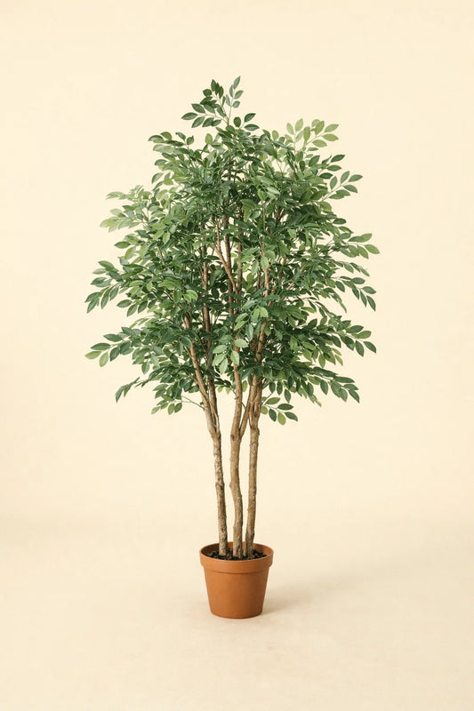 Kunstplant Ficus Exotica