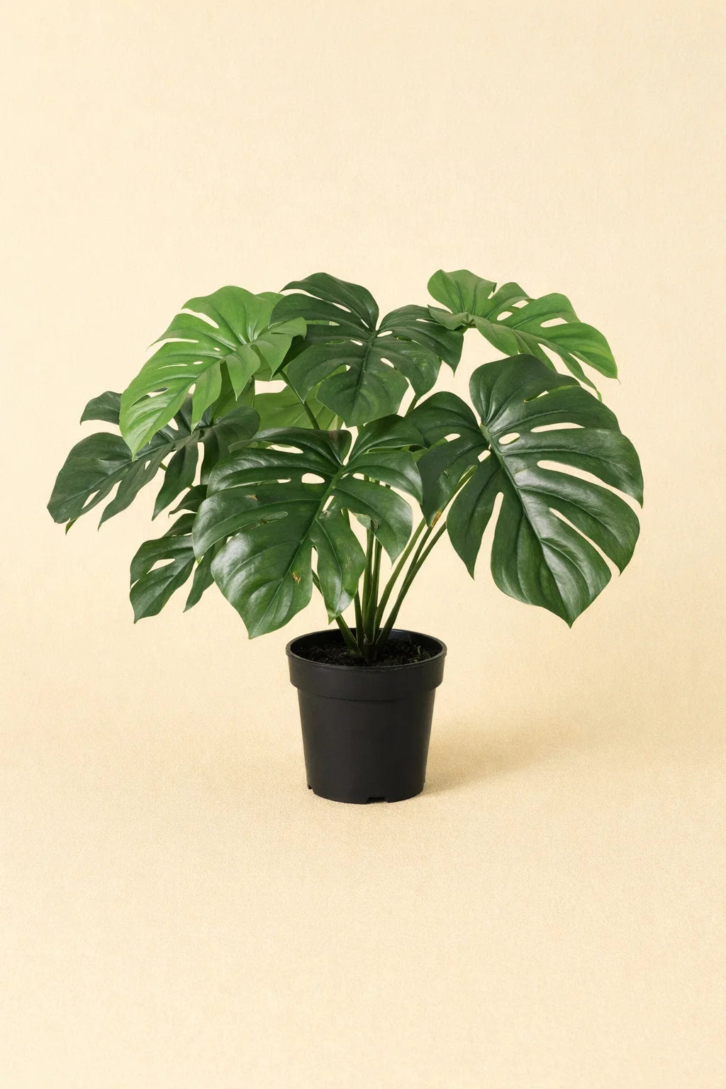 Kunstplant Monstera Deliciosa