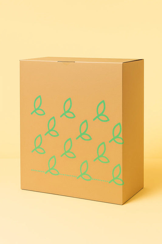 Verrassingsbox - Verschillende Kleine Planten