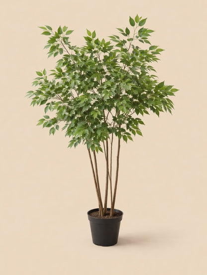 Kunstplant Ficus Benjamina Natural