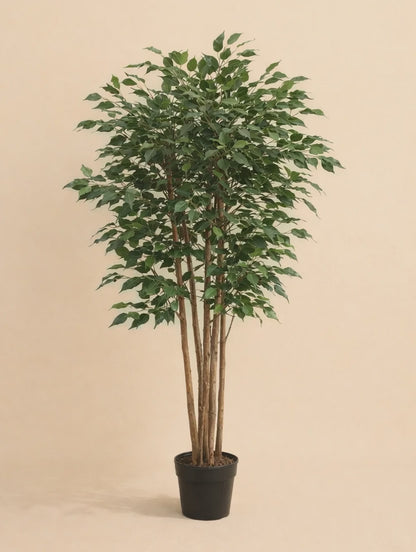 Kunstplant Ficus Benjamina Classic