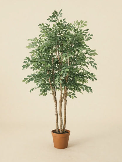 Kunstplant Ficus Exotica