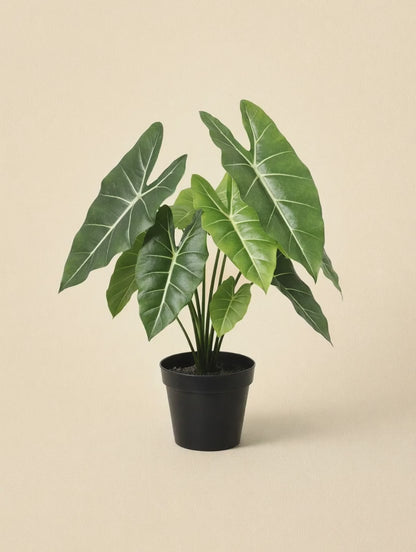 Kunstplant Alocasia Polly