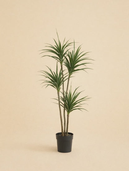 Kunstplant Dracaena