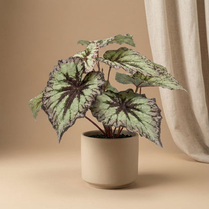 Kunstplant Begonia + Pot
