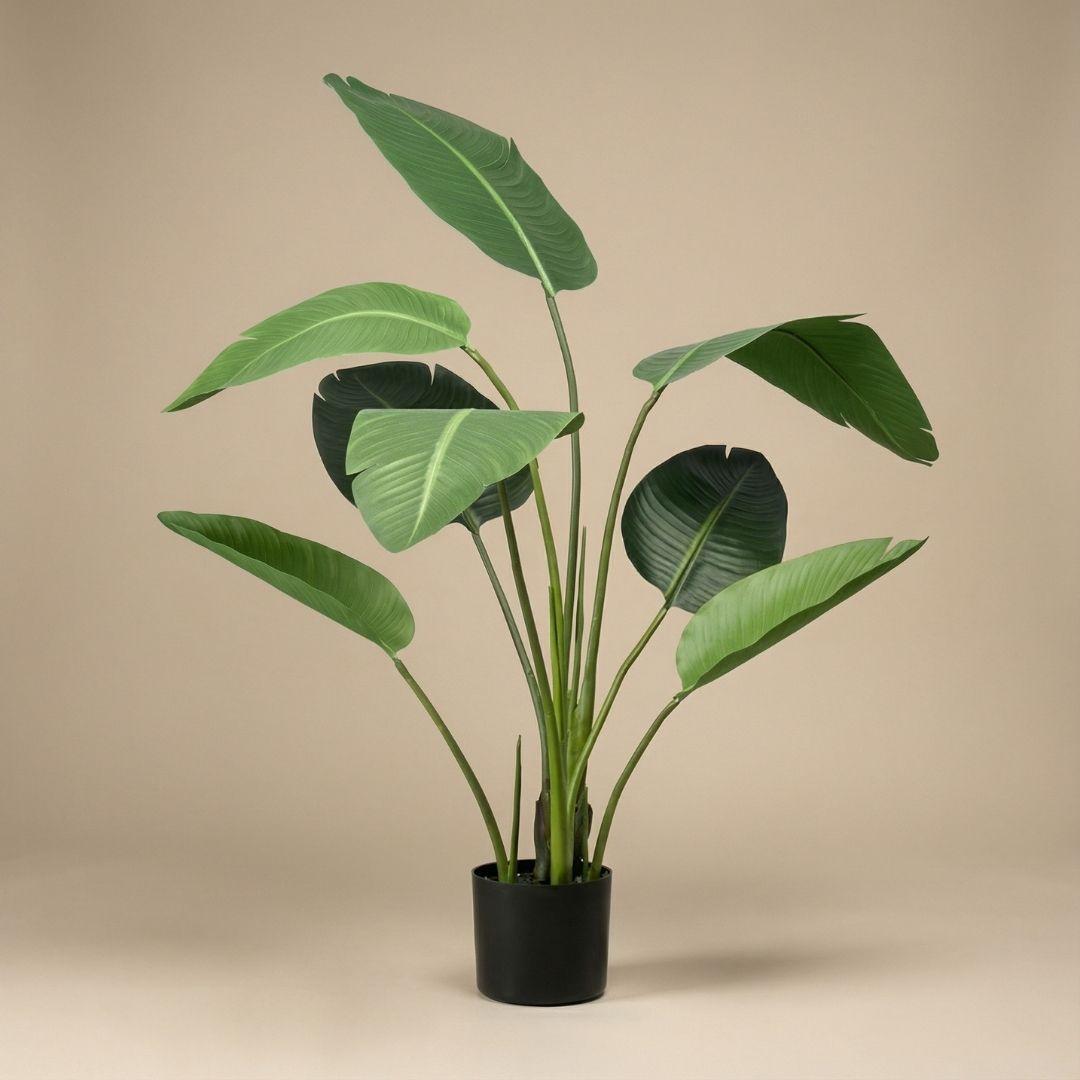 Kunstplant Strelitzia + Zwarte Pot