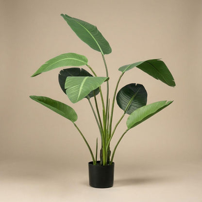 Kunstplant Strelitzia + Zwarte Pot