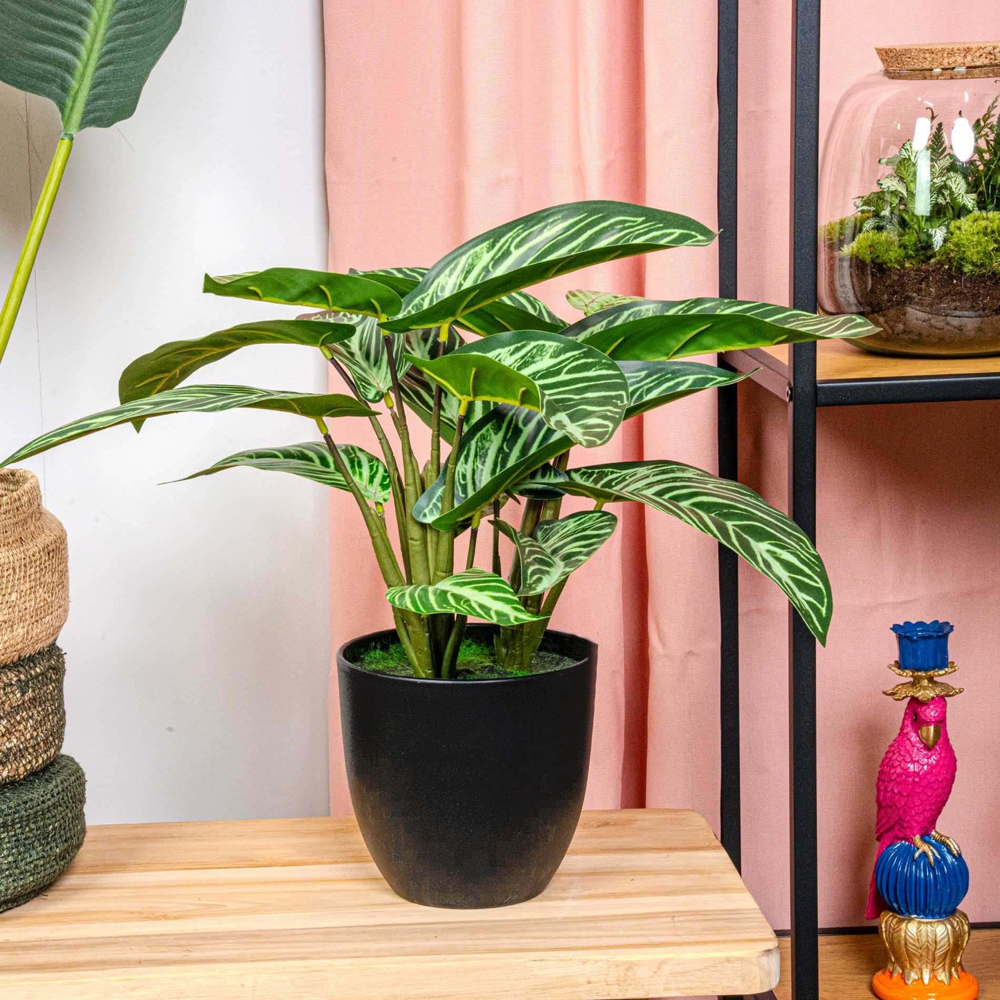 Kunstplant  Calathea Zebrina + Zwarte Pot