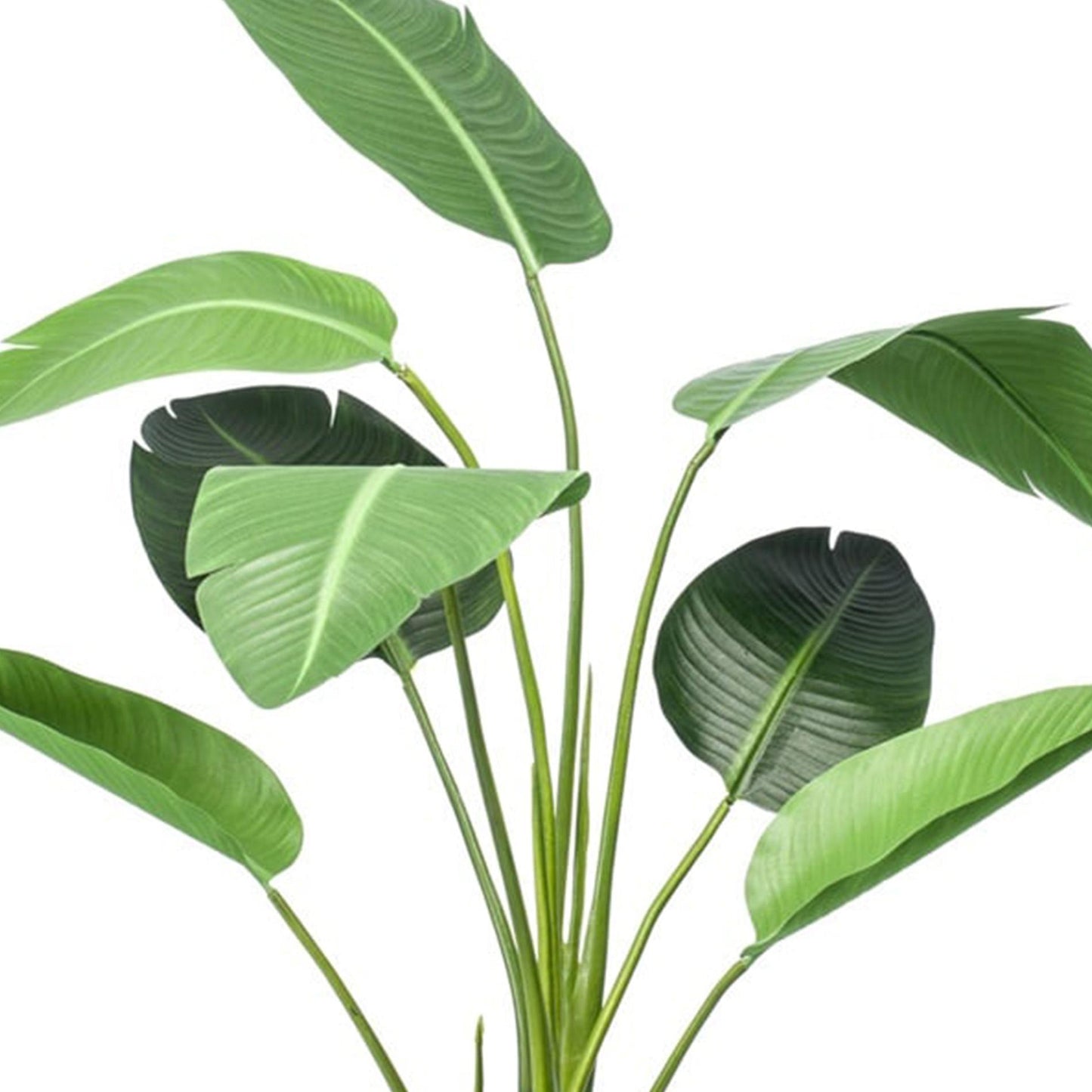 Kunstplant Strelitzia + Zwarte Pot