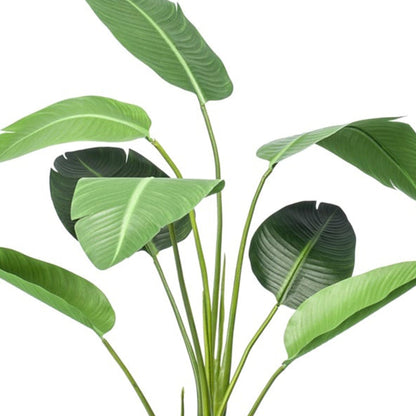 Kunstplant Strelitzia + Zwarte Pot