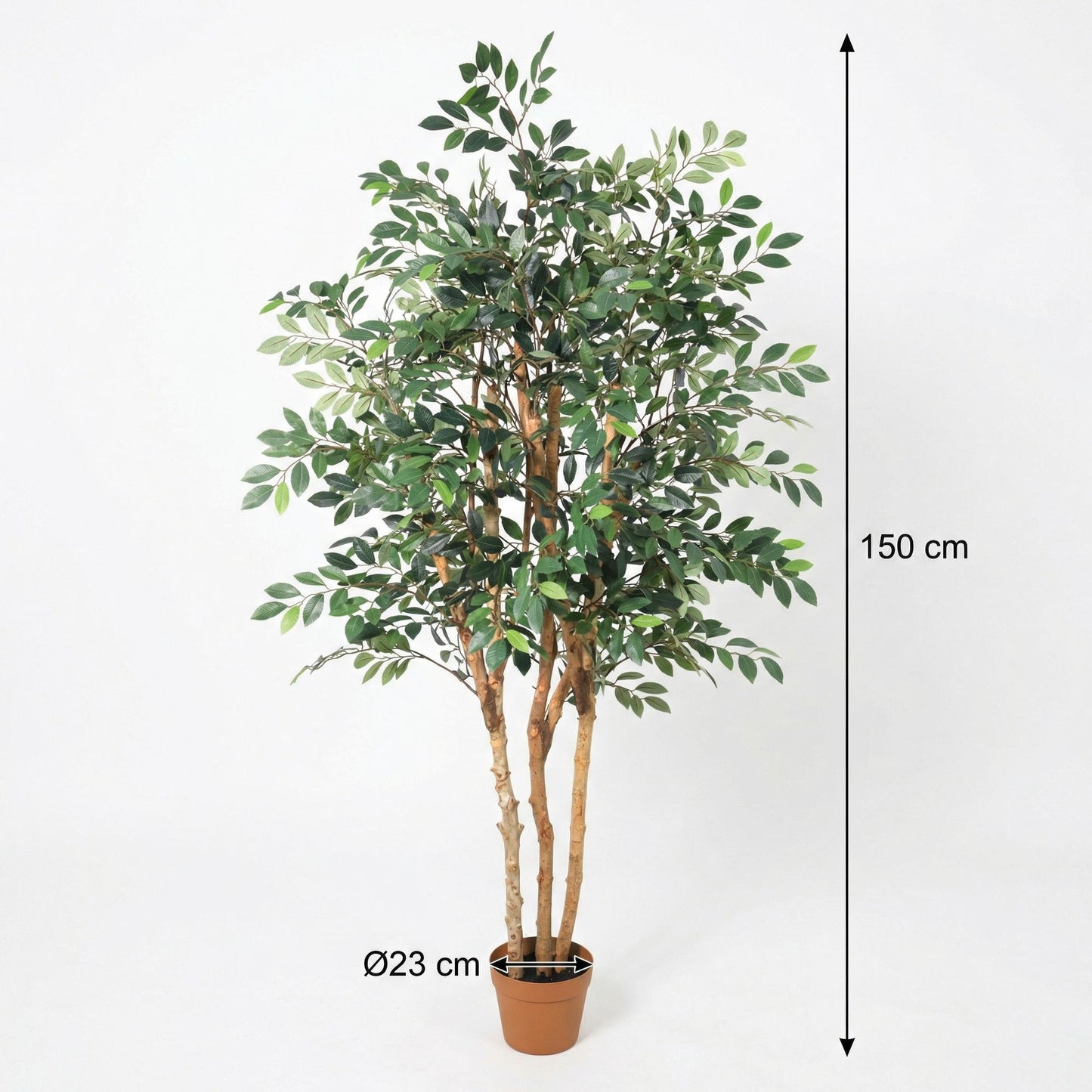 Kunstplant Ficus Exotica