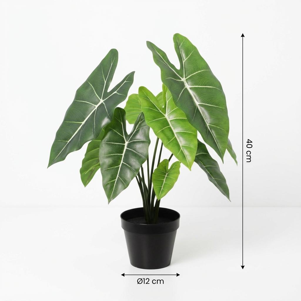 Kunstplant Alocasia Polly