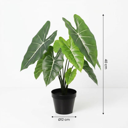 Kunstplant Alocasia Polly