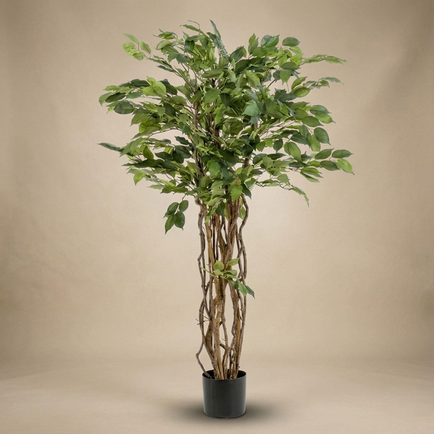 Kunstplant Ficus Liana
