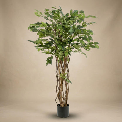 Kunstplant Ficus Liana