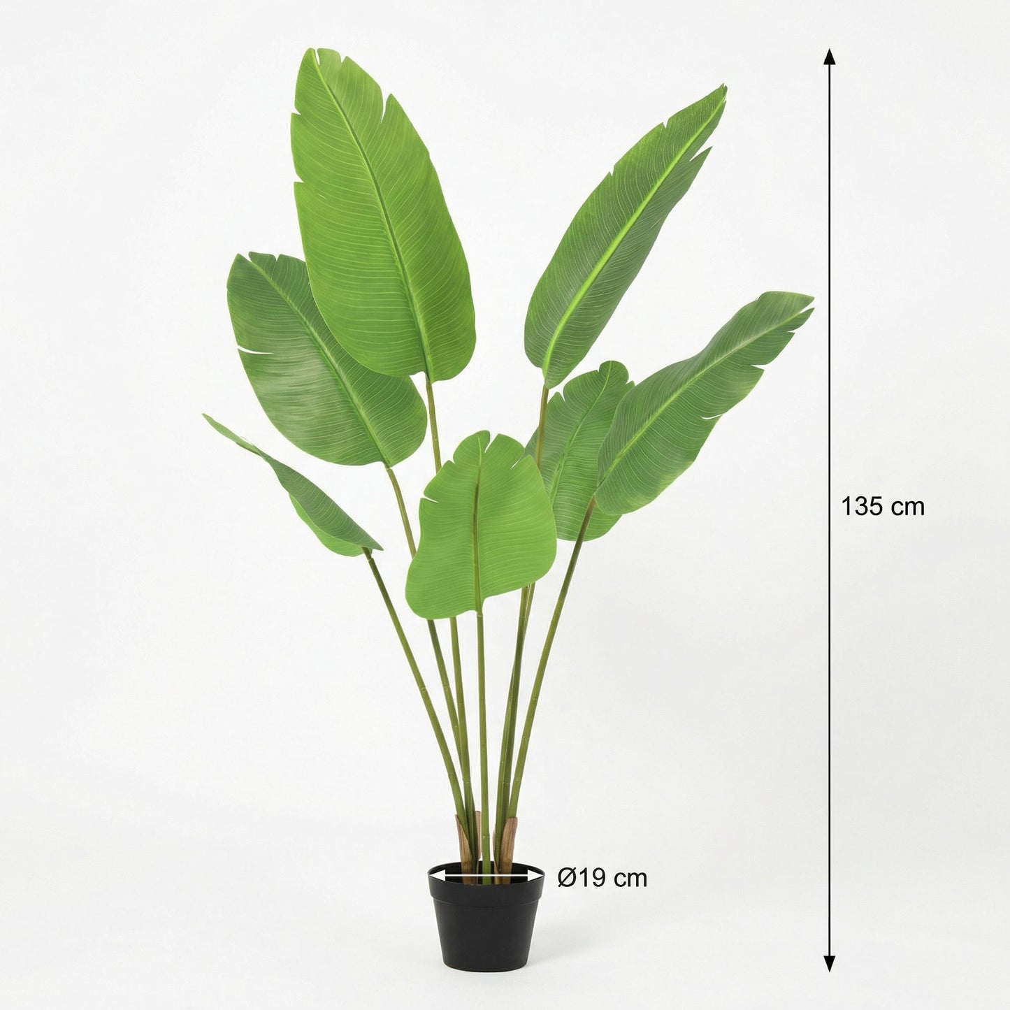 Kunstplant Strelitzia Nicolai