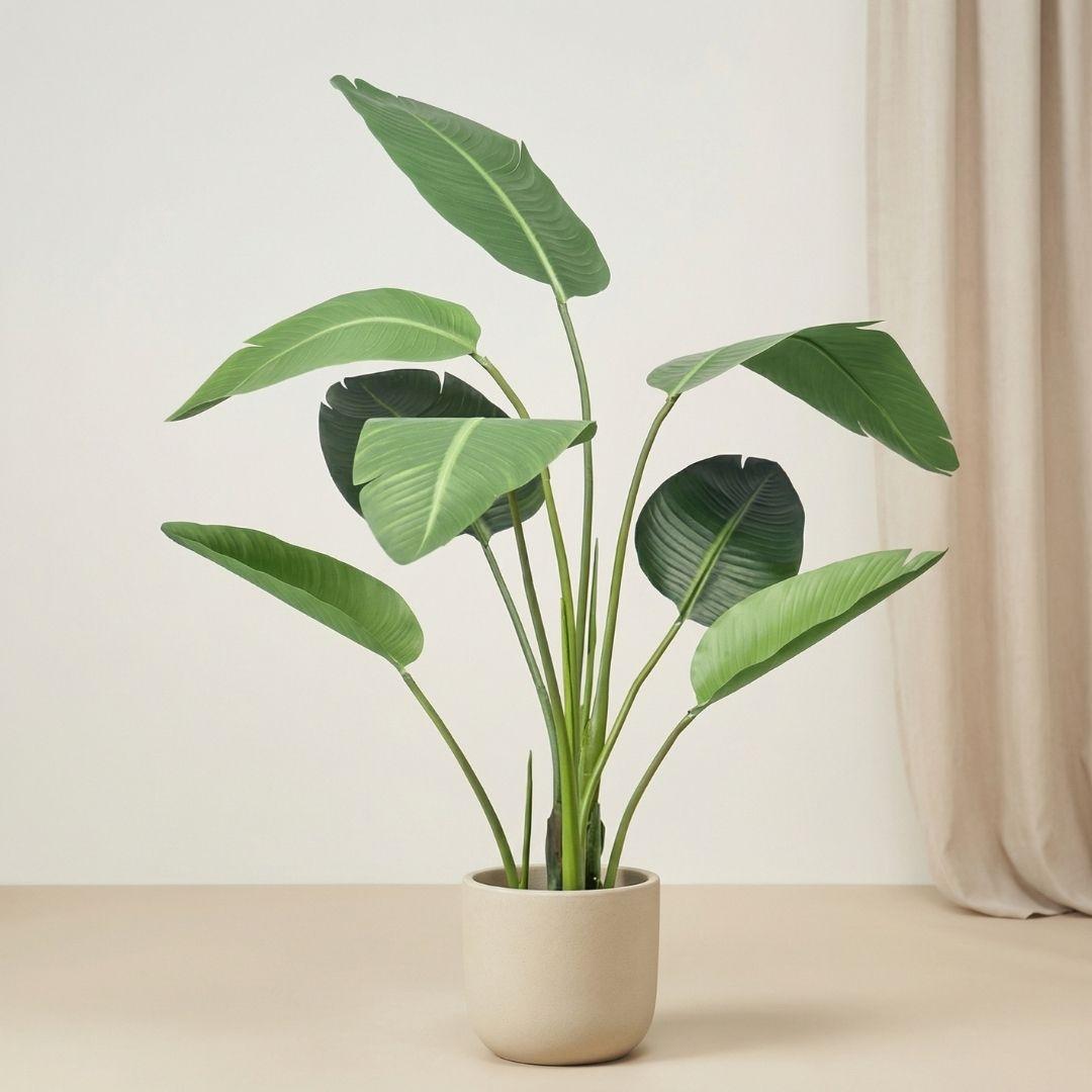Kunstplant Strelitzia + Zwarte Pot