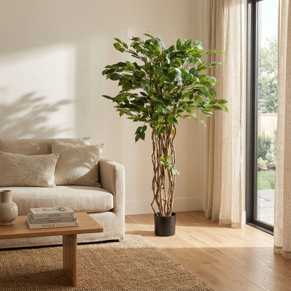 Kunstplant Ficus Liana