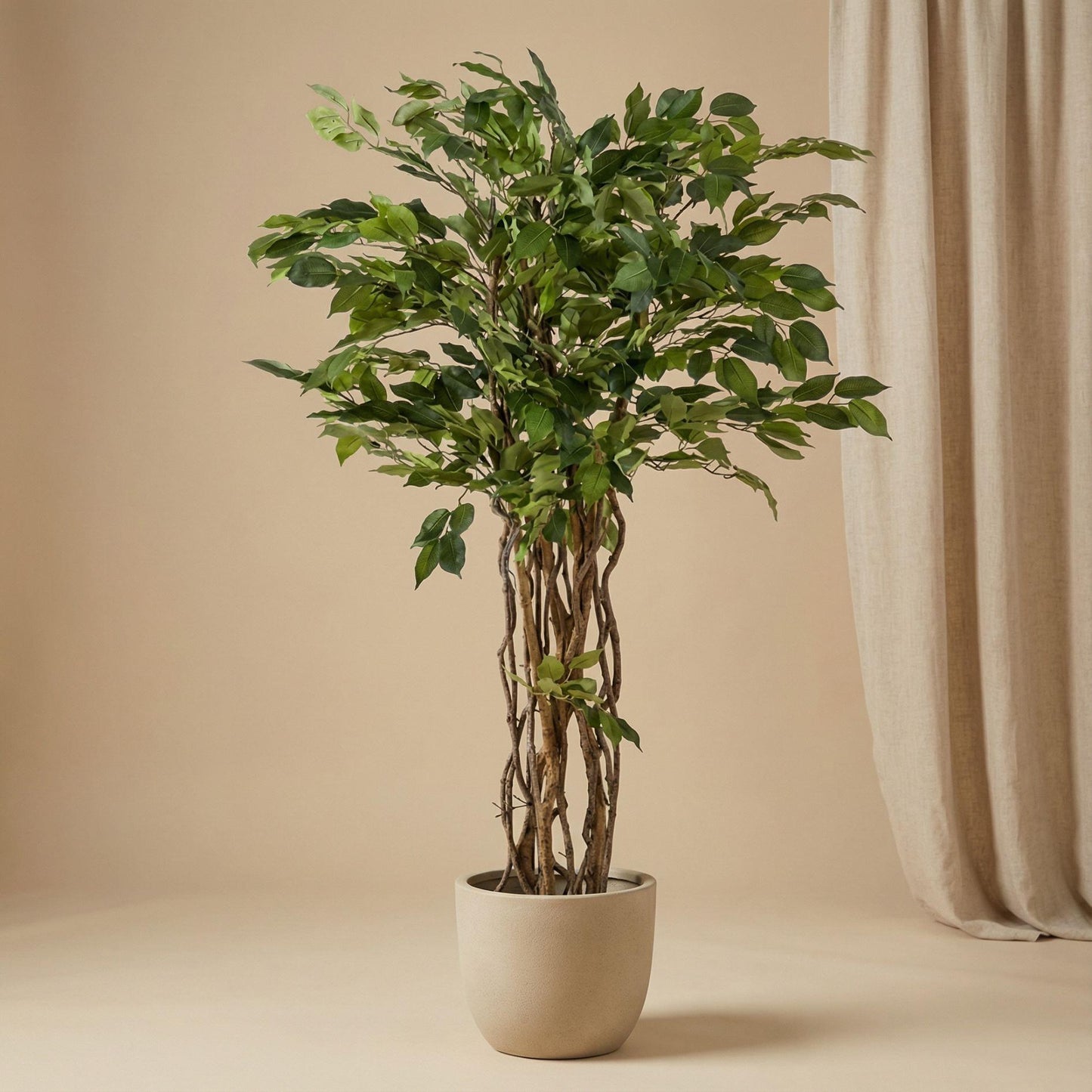 Kunstplant Ficus Liana